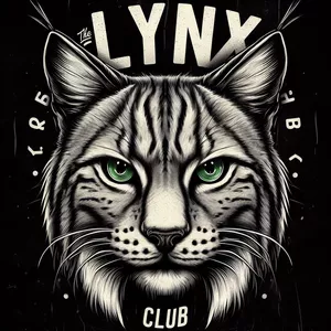 Imagen de portada para Curso online Club del Lince (6)