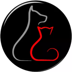 Imagem de capa para o Ebook Manual power pet