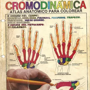 Imagen de portada para Ebook ANATOMÍA CROMODINAMICA