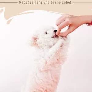 Imagen de portada para Ebook Tripitas Felices