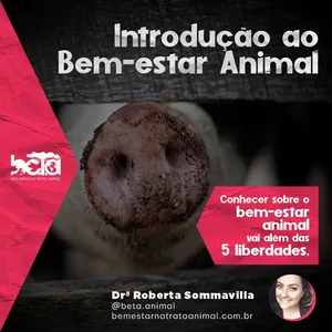Imagem do curso Introdução ao Bem-estar Animal