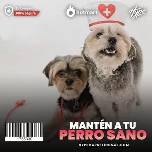 Imagen de portada para Ebook Upsell - Cómo tener un perro Sano