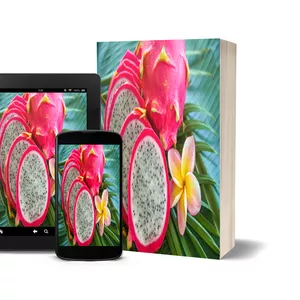 Imagem principal do produto pitaya - a Fruta da Moda
