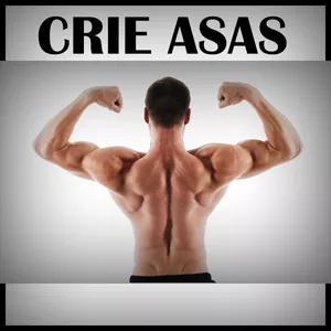 Imagem de capa para o Ebook Treino de costas para criar "Asas"