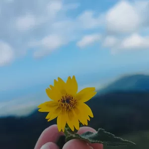 Imagen de portada para Curso online La masturbación en 5 pasos