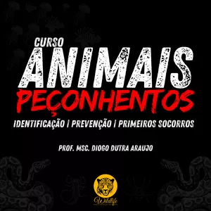 Imagem de capa para o Curso online Animais Peçonhentos: Identificação | Prevenção | Primeiros Socorros