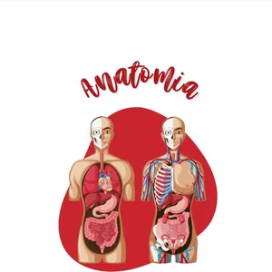 Imagem de capa para o Ebook Anatomia Humana Vol. 1 + Vol. 2