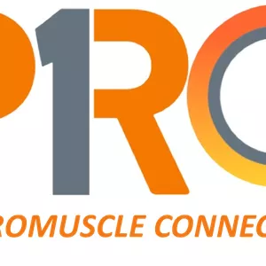 Imagen de portada para Curso online ACTIVAPRO - PRO