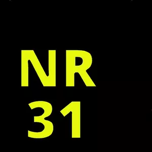 Imagem de capa para o Ebook Norma regulamentadora (NR 31) particularidades