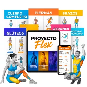 Imagen de portada para Ebook Proyecto Flex