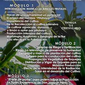 Imagen de portada para Curso online Taller: Producción Biointensiva de Pitahaya en LATAM  (3 MÓDULOS, 21 temas)