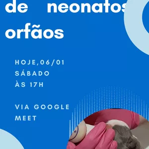 Imagem de capa para o Curso online Alimentação do neonato orfão