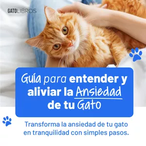 Imagen de portada para Ebook Cómo detectar y tratar la Ansiedad de tu gato