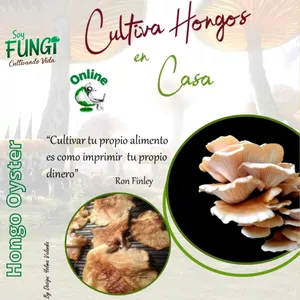 Imagen de portada para Curso online Cultivo de Orellana, la proteína del futuro