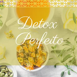 Imagem de capa para o Ebook Detox Perfeito