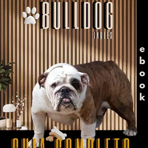 Imagem de capa para o Ebook Bulldog Inglês: Guia completo para uma vida saudável e feliz