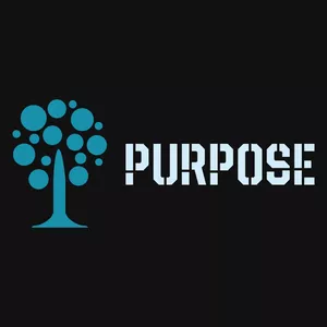 Imagem de capa para o Curso online Os 5Ps Rumo ao Propósito.