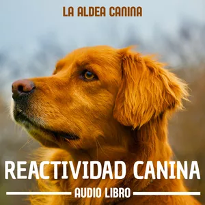 Imagen de portada para Curso online Mi Perro Reactivo: Una Guía Amistosa para Entender y Ayudar a tu Mejor Amigo