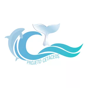 Curso online "Cetáceos; baleias e golfinhos da Rota da Baleia Franca"