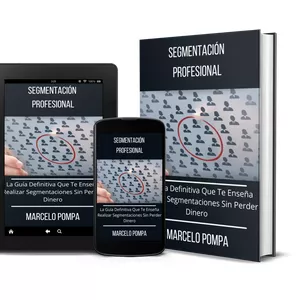 Imagen de portada para Ebook Segmentación Profesional