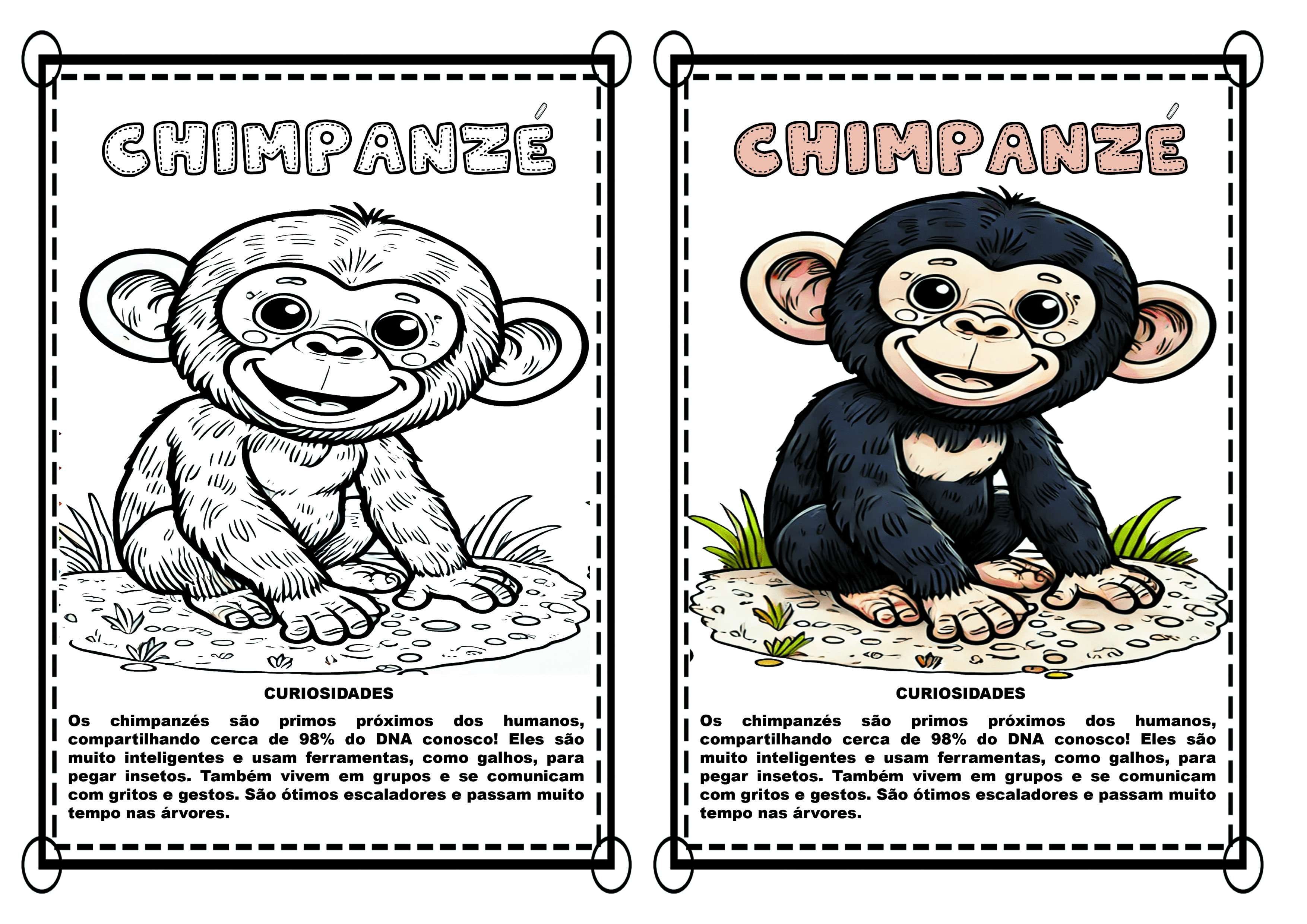 Colorindo & Apredendo, mais de 100 animais para colorir e aprender sobre eles!!! — imagem 3