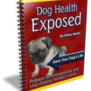 Cover image for Ebook 🩺 “Healthy Dogs, Happy Owners: Protect Your Best Friend”