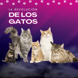 Imagen de portada para Curso online La Revolución de los Gatos 2.0