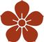 Dr. MaryAnne's Healthy Life Center