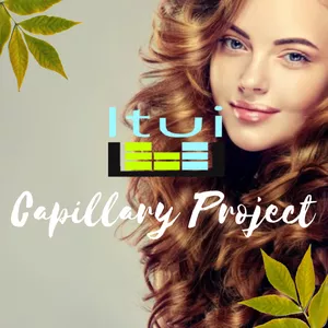 Cover image for Ebook Itui Capillary Project