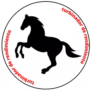 Imagen de portada para Curso online Turbinador de Rendimiento ASSX