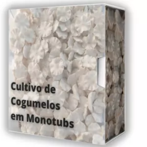 Imagem de capa para o Curso online Cultivo de Cogumelos em Monotub