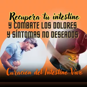 Imagen de portada para Curso online Curación del intestino 