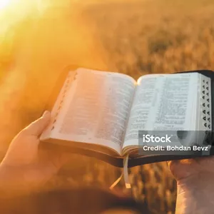 Imagen de portada para Curso online NUEVO CURSO BIBLICO BASICO