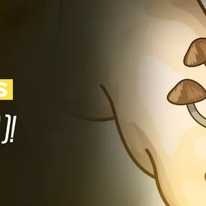 Imagem do curso Método Fungos nunca mais!