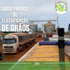 Imagem de capa para o Curso online CURSO PRÁTICO DE CLASSIFICÃO DE SOJA.