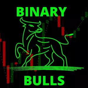 Imagem do curso BINARY BULLS: seu sucesso no mercado