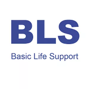 Imagen de portada para Curso online Soporte Vital Básico