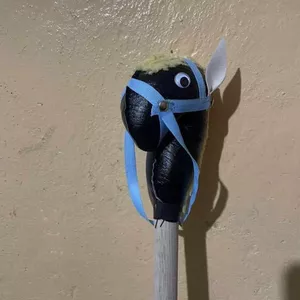 Imagen de portada para Curso online Caballos de palo 