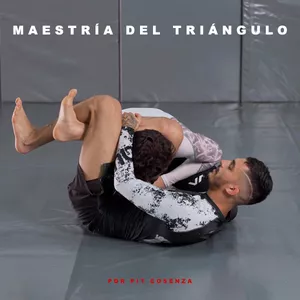 Imagen de portada para Curso online Maestría del Triángulo