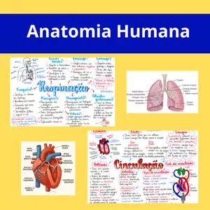 Imagem de capa para o Ebook Mapa mental - Anatomia Humana