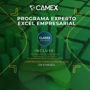 Imagen de portada para Curso online PROGRAMA EXPERTO EN EXCEL EMPRESARIAL