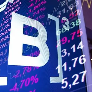 Imagem de capa para o Ebook Ensinando a como investir na bolsa de valores 2023