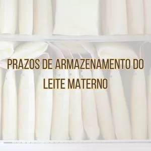 Imagem de capa para o Ebook Prazos do leite