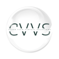 CV Academy  logo
