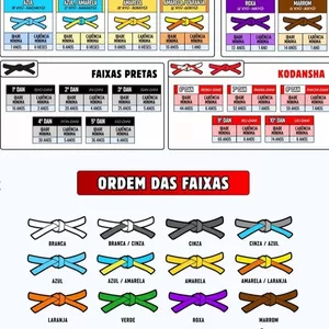 Imagem de capa para o Ebook Apostila para exame de faixa