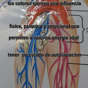 Imagen de portada para Curso online Curso de cromoterapia y Radiestesia 