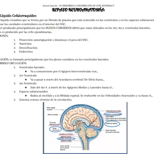Imagen de portada para Curso online Repaso LCR