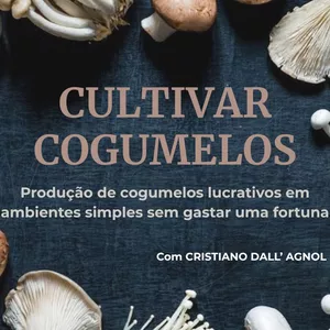 Imagem de capa para o Curso online CULTIVAR COGUMELOS - Monte o seu cultivo de cogumelos lucrativos utilizando ambientes simples sem gastar uma fortuna