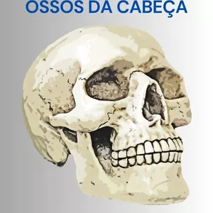 Imagem de capa para o Ebook e-book Descomplicando anatomia dos ossos da cabeça