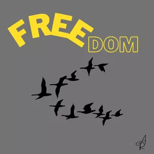 Cover image for Online course Freedom